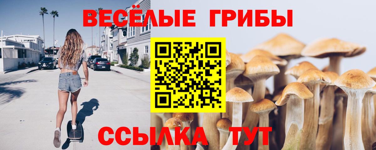 Омск  Галлюциногенные грибы Magic Shrooms  Вход с VPN 